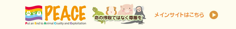 PEACEメインサイトバナー