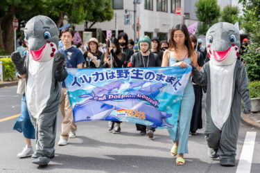 金属音の暴力とイルカの恐怖を知ってください「海のいきものを守ろう＠東京マーチ2023」5月28日 開催レポート
