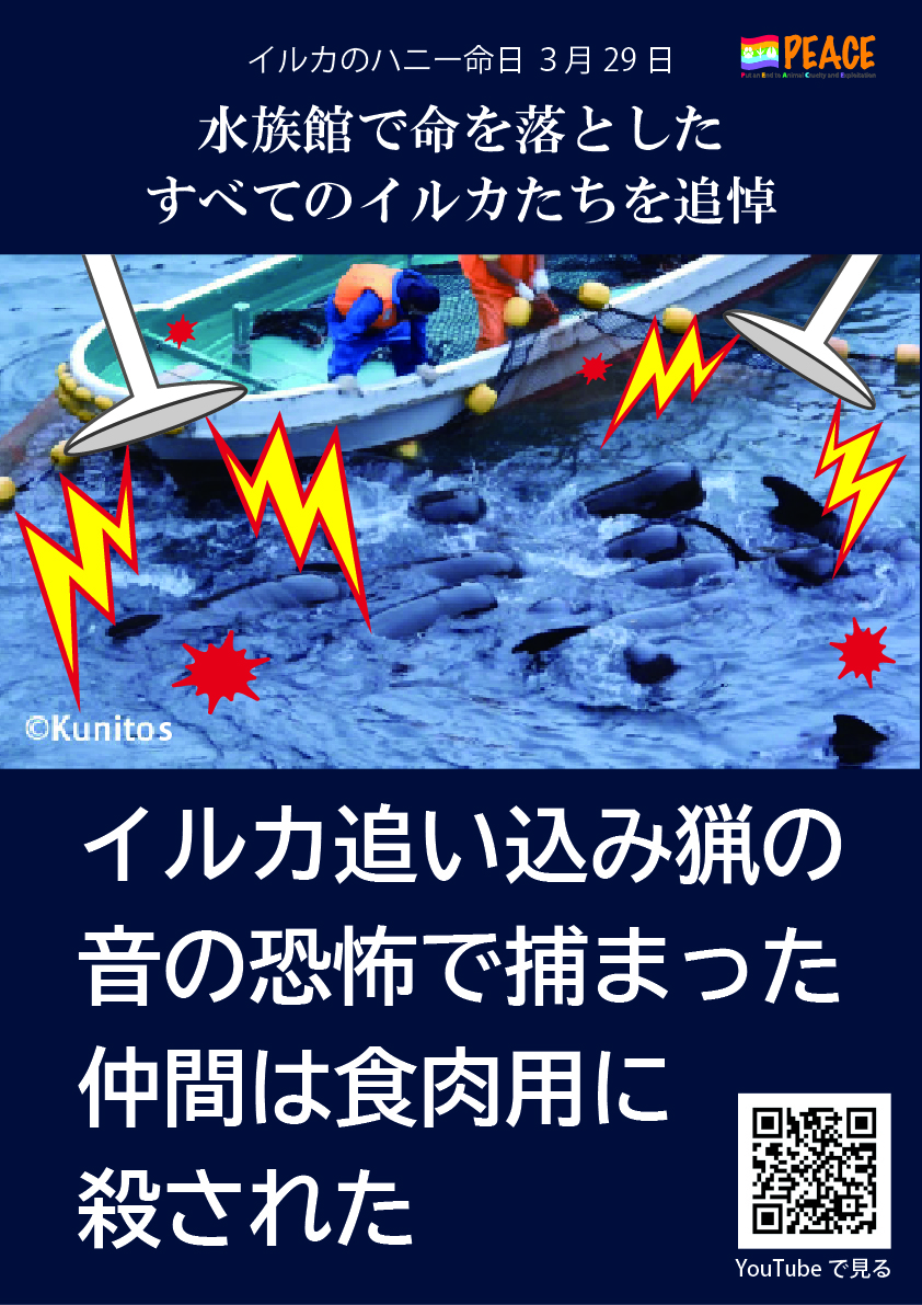 #イルカのハニーを忘れない2026 拡散用画像