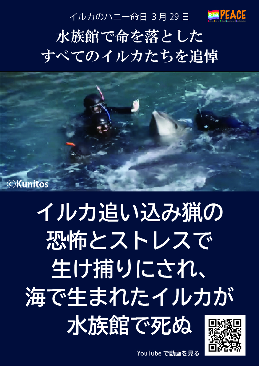 #イルカのハニーを忘れない2026 拡散用画像