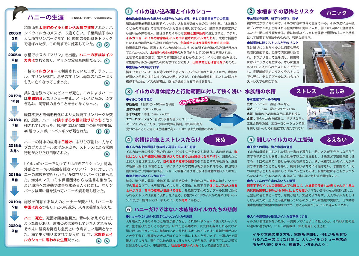 ハニーの生涯から水族館問題を考える 日本にもイルカサンクチュアリを！ハニー通信第２号を発行