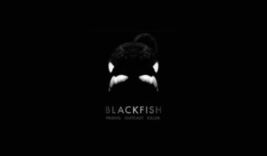 ＜紹介＞ドキュメンタリー映画『ブラックフィッシュ（Blackfish）』日本語字幕版