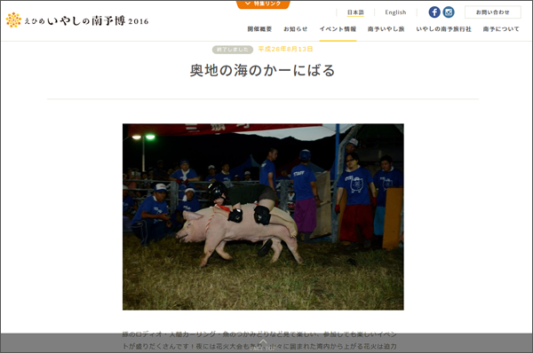 【終了済キャンペーン】西予市の豚のロディオ行われませんでした