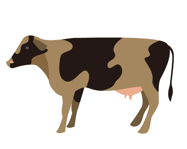 酪農学園大学で動物実験計画書の提出がないまま牛の実習を実施