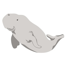 dugong-image_eye