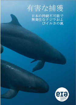 イルカ類の捕獲の影響について資料集がでました＆ＪＡＺＡ宛サンプルレターを公開しました（※終了しました）