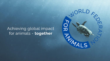 祝！動物のための世界連盟、The World Federation for Animals（WFA）発足　