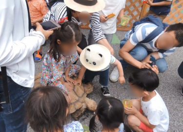太鼓の爆音響く中、大混雑の動物ふれあい　西浅草東本願寺「藤まつり」の移動動物園が酷かった