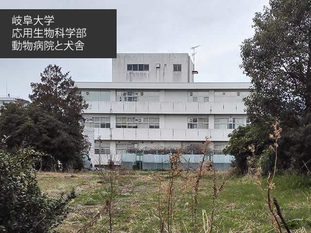 岐阜大学の著しい老朽化…動物実験委員会が訴える窮状　　