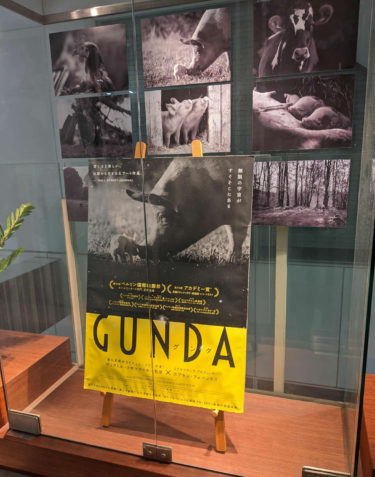 どれだけ福祉に配慮しようとも残酷な世界 ― 映画『GUNDA／グンダ』