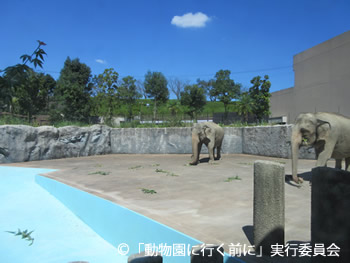 平川動物公園ゾウ舎