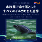 #イルカのハニーを忘れない2026 拡散用画像