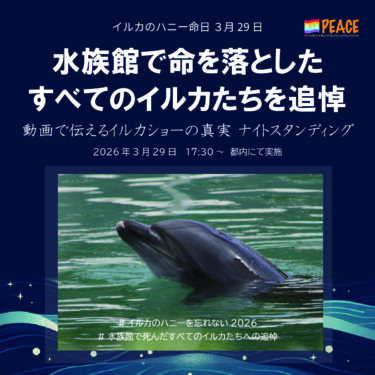 #イルカのハニーを忘れない2026 拡散用画像