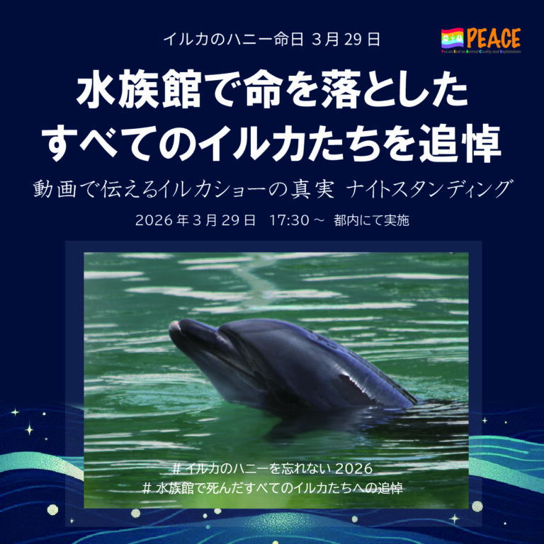 #イルカのハニーを忘れない2026 拡散用画像
