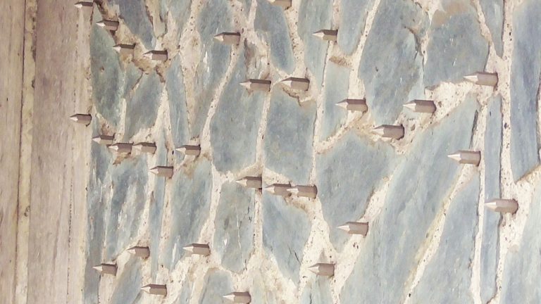 井の頭自然文化園　動物園　ゾウ　Hanako　鋲　壁　金属