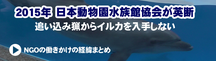 日本動物園水族館協会が追い込み猟からイルカを入手しないことを決定！