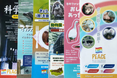 リーフレット表紙を並べた写真