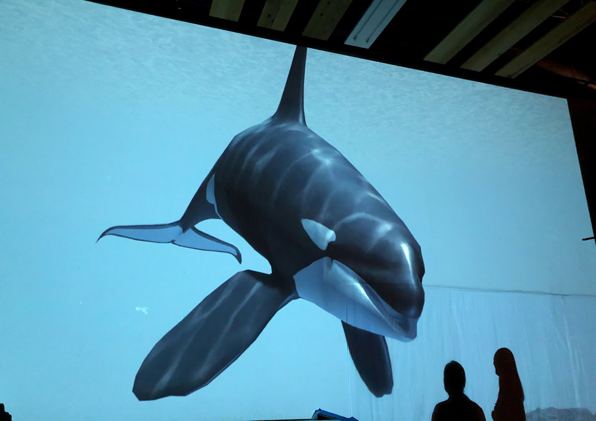 これからの動物展示はこれだ！ 鯨類のデジタル展示「ライトアニマル」を体験してきました