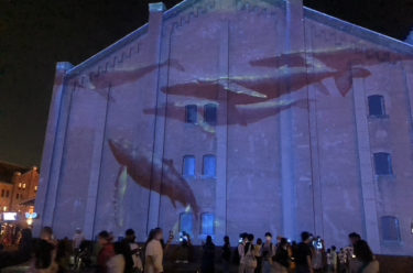 夜の海辺に投影された自由に泳ぐクジラやシャチ、イルカ「ライトアニマル」～横浜赤レンガ倉庫GREENROOM FESTIVAL’22報告