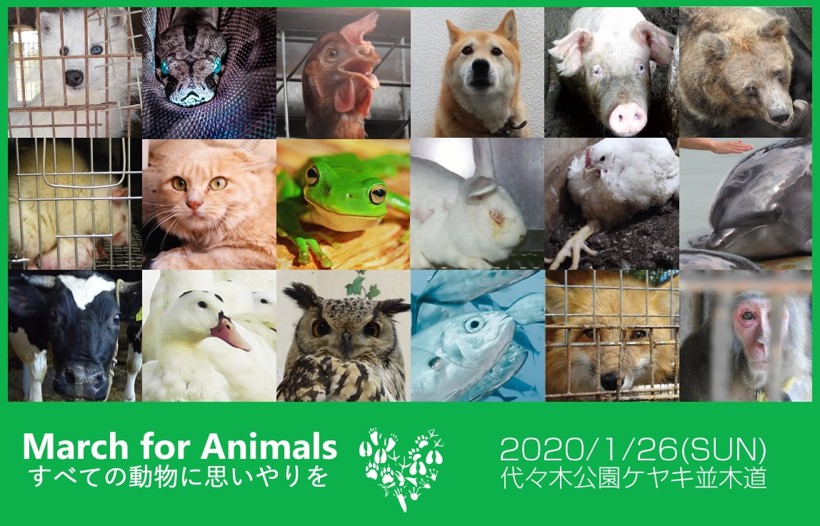 １月26日開催 “March for Animals すべての動物に思いやりを”の賛同団体になりました
