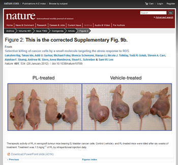 mice-cancer-naturewebimage