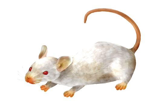 「Nature」誌論文、マウスに発生させた腫瘍が大きすぎて問題に