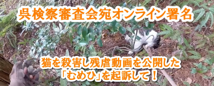 呉検察審査会あてオンライン署名　猫虐待起訴
