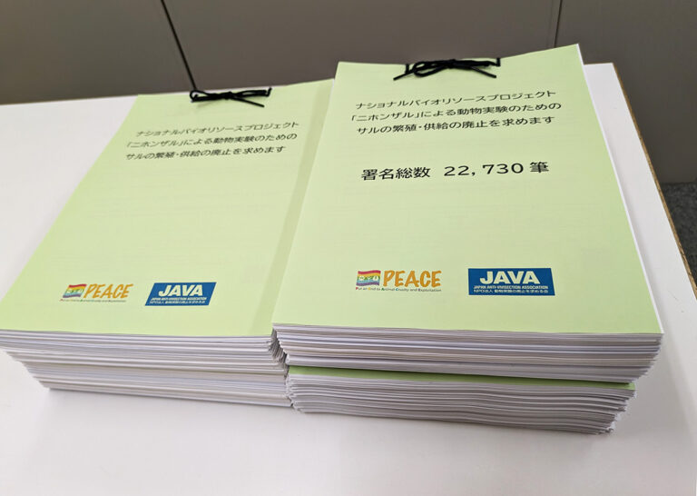 NBRP ニホンザル　署名簿　写真