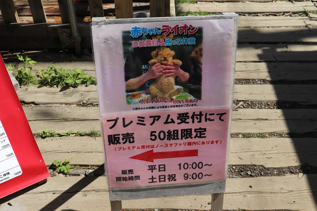 ノースサファリサッポロ　ライオン　だっこ　看板