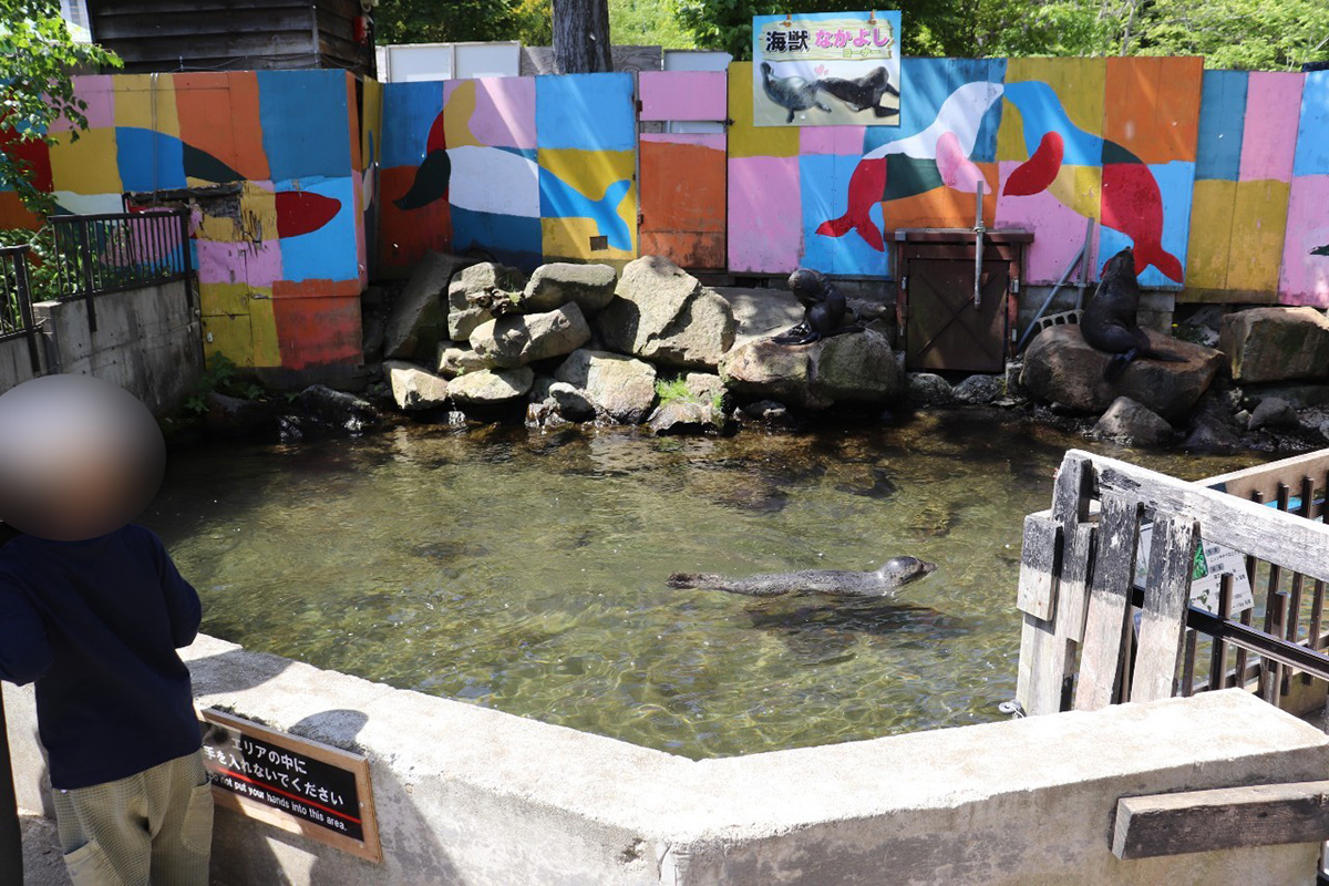 ノースサファリサッポロ　オットセイ　アザラシ　過去に鳥獣保護法違反