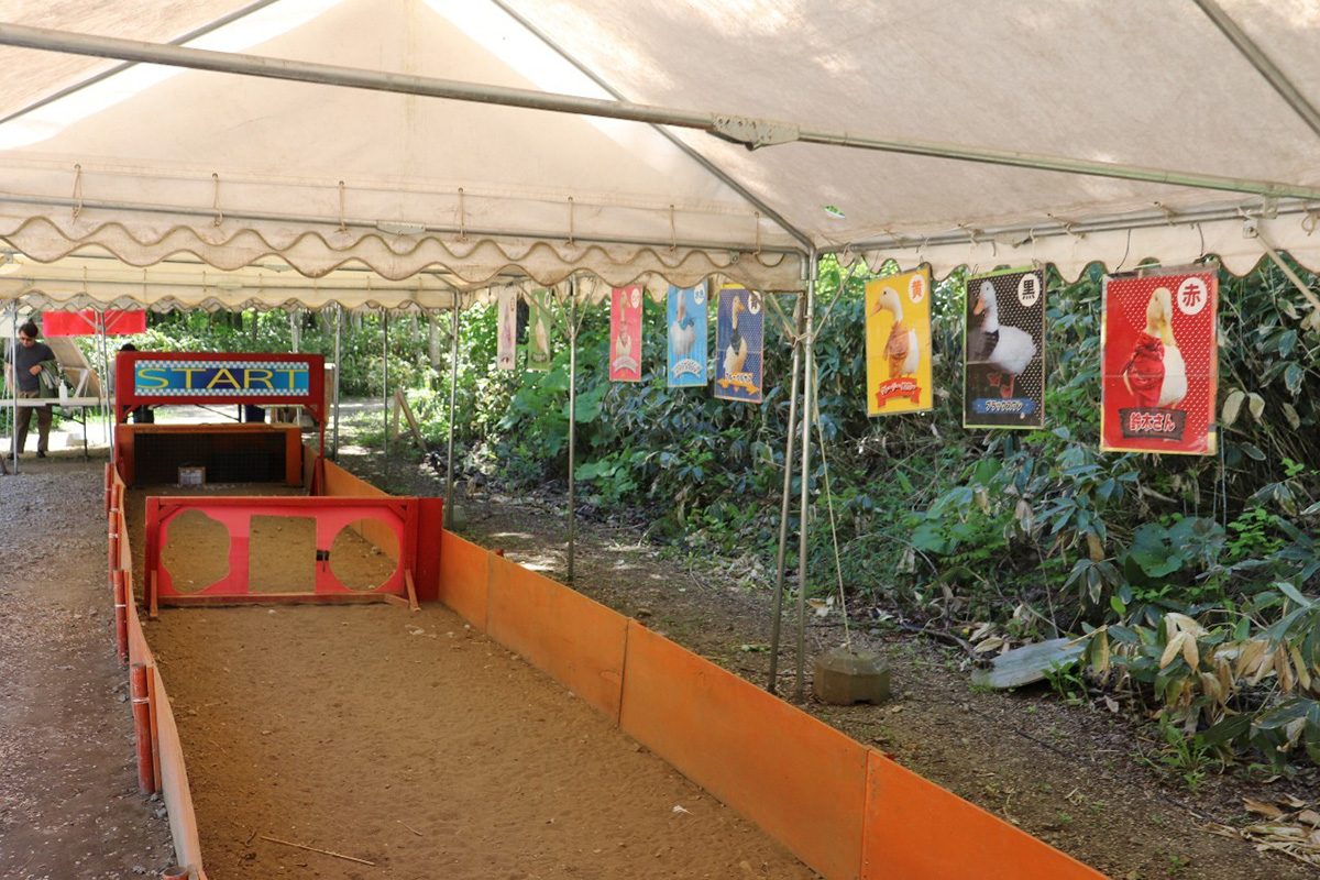 ノースサファリサッポロ　アヒルレース　イベント会場　酷い