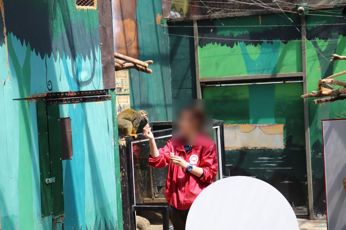 ノースサファリサッポロ　リスザル　餌やり　飼育員　不適切　霊長類