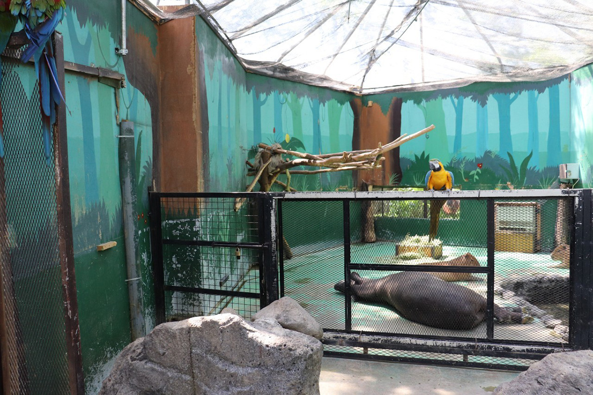 ノースサファリサッポロ　カピバラ　混合飼育