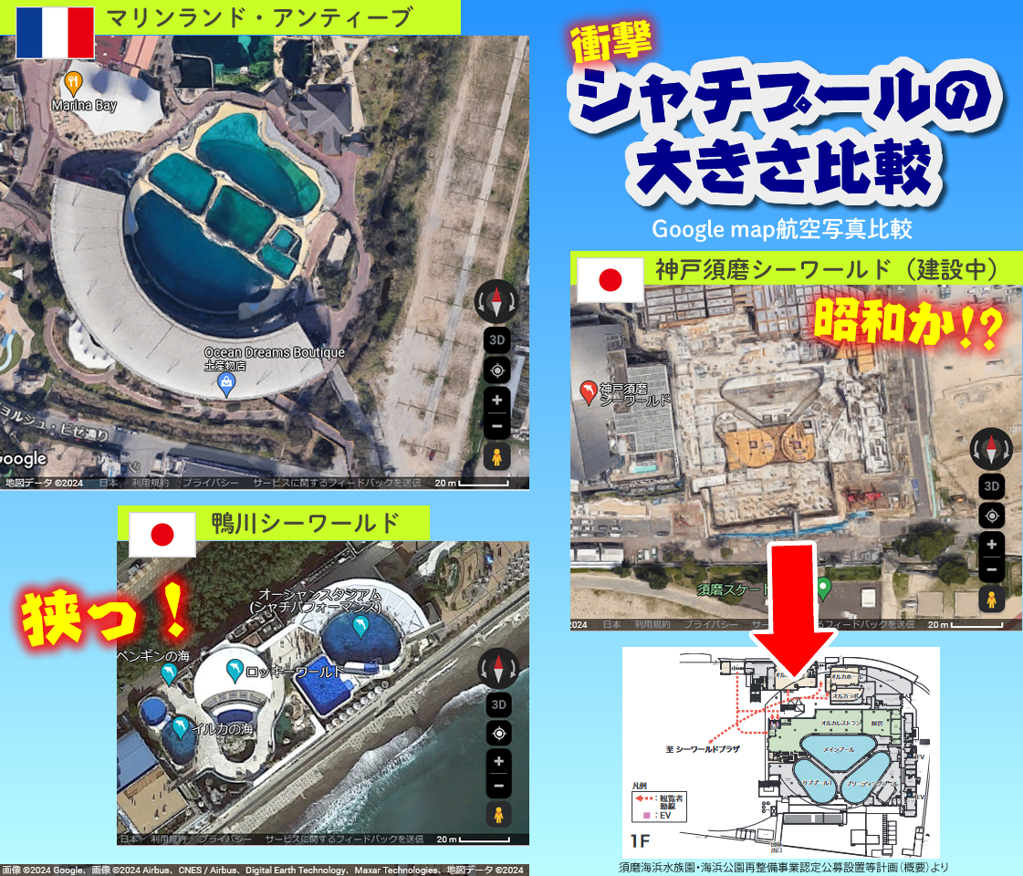 国際比較　動物福祉　シャチ　プールの広さ　鴨川シーワールド　神戸須磨シーワールド
