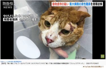 大阪大学医学部付属病院の臨床検査技師が猫にアルコールをかけて火をつける動物虐待！