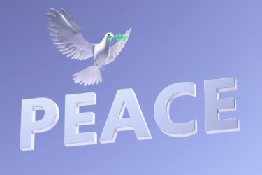 会報「PEACE」第２・３号合併号を発送しました　　　　　