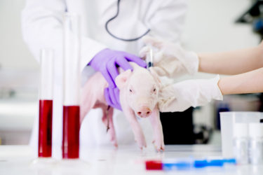 第7回動物性集合胚作業部会、センター入試問題を批判