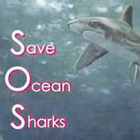 ＜リーフレット＆動画＞「海の日」にサメたちのことを知ろう！　
