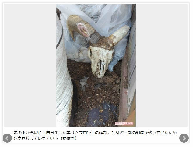 堀井動物園園長の動物愛護法違反に有罪判決！　罰金30万円