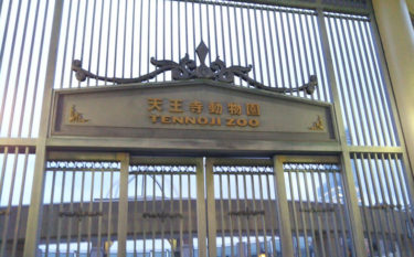 動物園の余剰動物問題：死んだシマウマは天王寺動物園の「バロン」